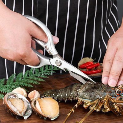 Ciseaux de cuisine multifonctions | PrecisionCut - BENSOYSHOP